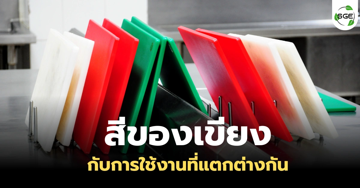 ความต่างของ “เขียงแต่ละสี” ในครัว ทำไมมือโปรถึงไม่ใช้เขียงเดียว?