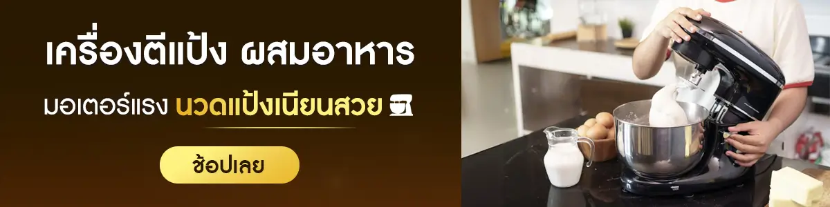 SGE จำหน่ายเครื่องตีแป้ง