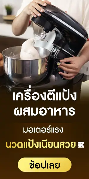 SGE จำหน่ายเครื่องตีแป้ง