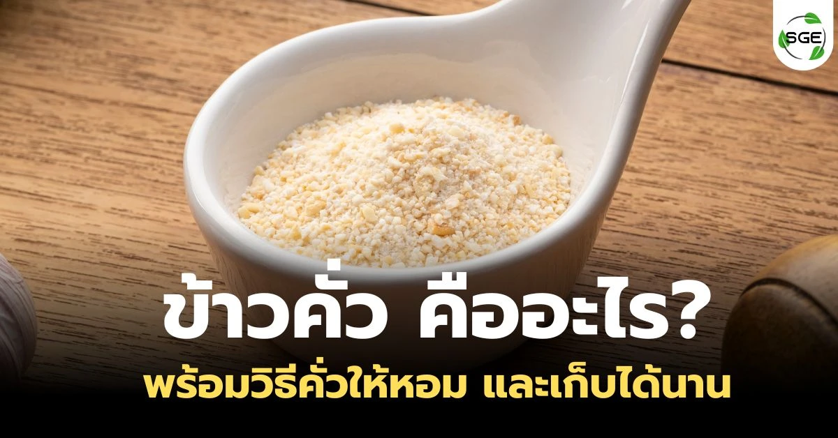 ข้าวคั่ว คืออะไร? พร้อมวิธีทำแบบบ้าน ๆ หอมนาน ไม่เหม็นหืน